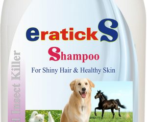 shampo3